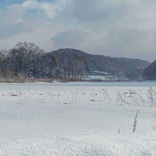 Naviar Broadcast #393 - In This Snow - 14 January 2026