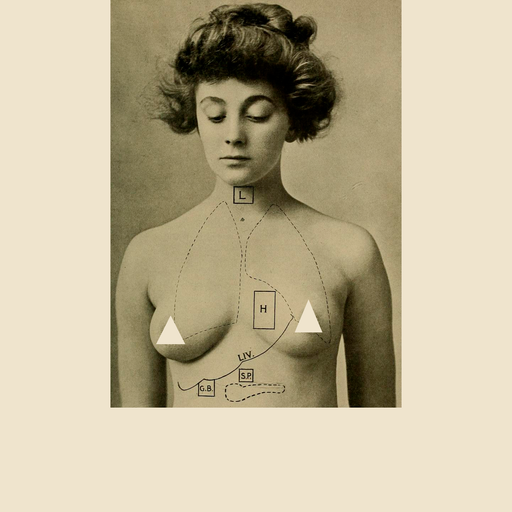 Self-Hypnosis #5 Bodies 06.11.2025