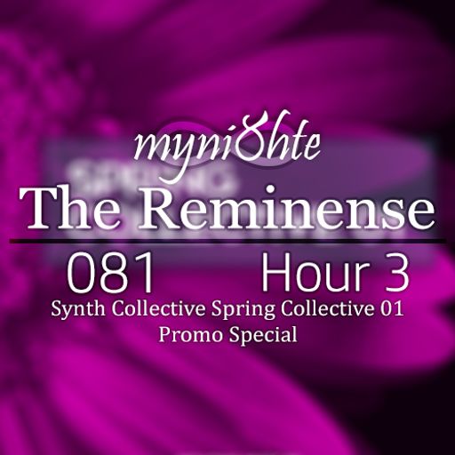 The Reminense 081 - Hour 3 (Spring Collective 01 Special)