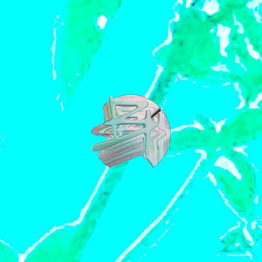 Bunny Hoova - 13th December 2025