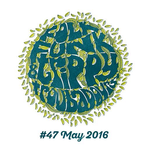 Folk Funk and Trippy Troubadours 47