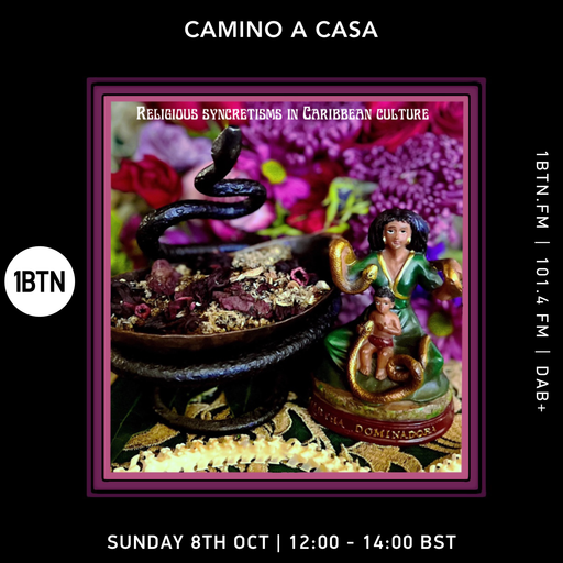 Camino A Casa - 08.10.23.