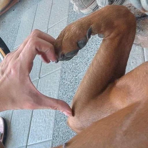 Hải Dương Fly - Lẩu Ketamin - Anh Tuấn On The Mix...