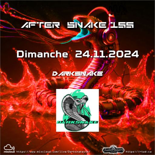 Darksnake Special Techno "After Snake 155" Radio TwoDragons 24.11.2024