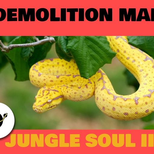 JUNGLESOUL III