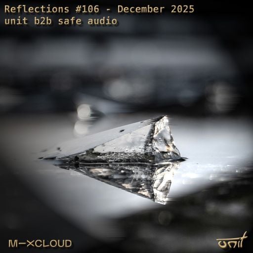 Reflections #106 (unit b2b safe audio) - December 2025