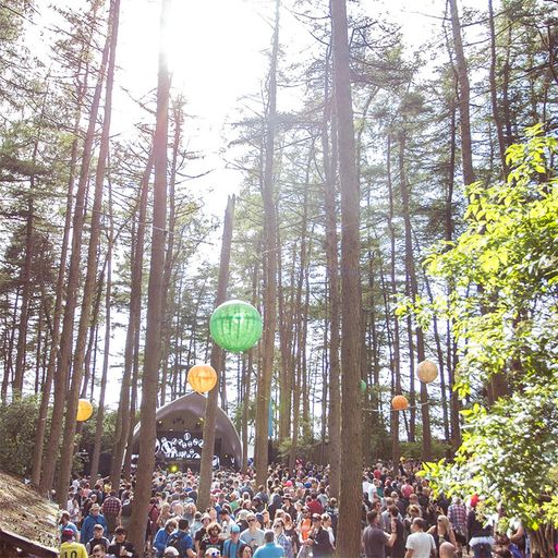 Mr. Scruff & MC Kwasi, Toil Trees, Beat Herder Festival 2017