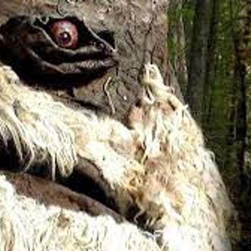 Spectacle Radio ep.85 :: 08.18.22 :: Hey Dougie, grab my feelers