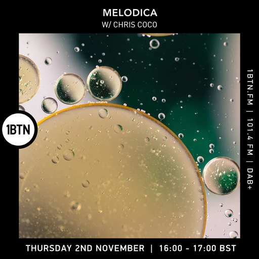 Melodica w/ Chris Coco - 02.11.23