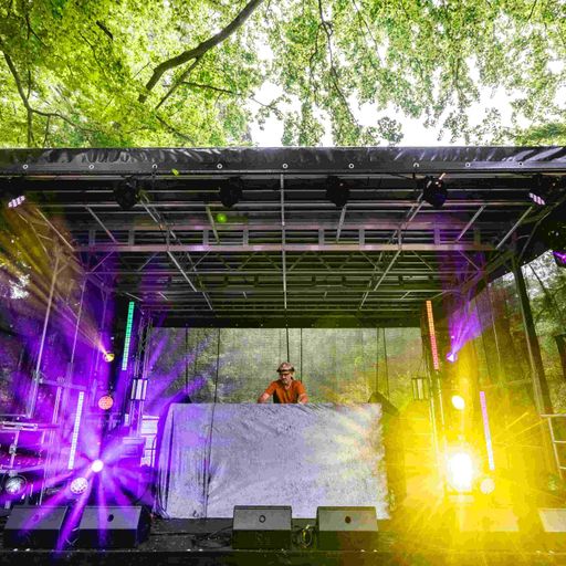 Al Luckett (Live @ Lets Love Life Festival)