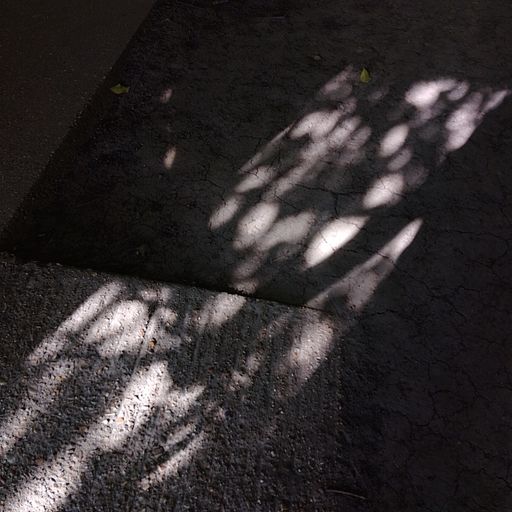 Littoral Transmissions #57 - Approaching Solstice - 26th June 2024