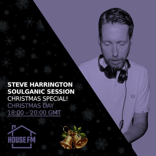 Steve Harrington Christmas Special 25 DEC 2025