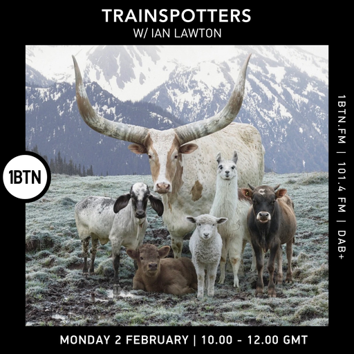 Trainspotters w/ Ian Lawton - 02.02.26