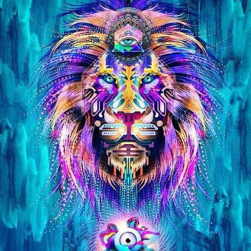Back To Earth - The Lion's Den
