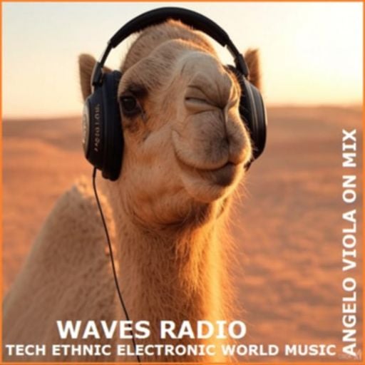 ANGELO VIOLA On The Mix for Waves Radio #1 (GUEST)