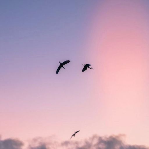 Momentary Sanctuary w/ pirouette - 16th April 2026