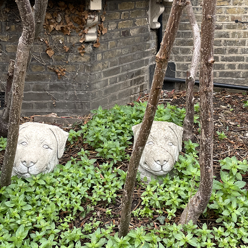 Not Waving - 20th November 2025