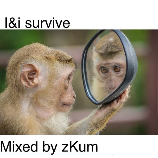 I&i Survive