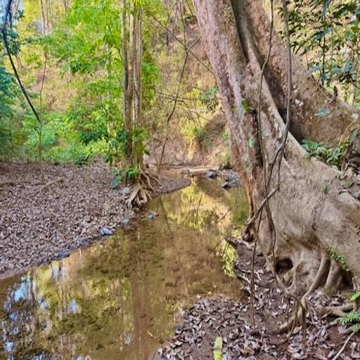 The Freedom Suite - Music For A Peaceful Now Vol.2