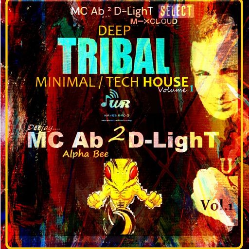 MC Ab ² D-LighT for WAVES RADIO #13 - DEEP TRIBAL MINIMAL TECH HOUSE (Vol.1)