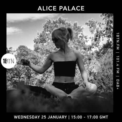 Alice Palace - 25.01.2023