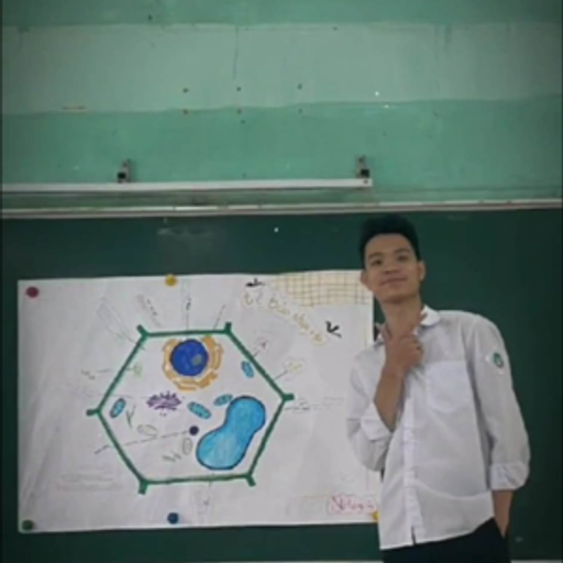 NST SÔI NỔI GBAOUTD