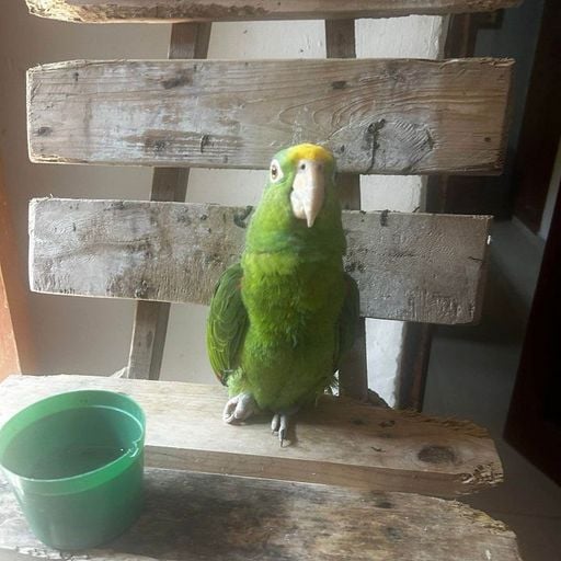 Club Coco w/ Coco María - 12th January 2026