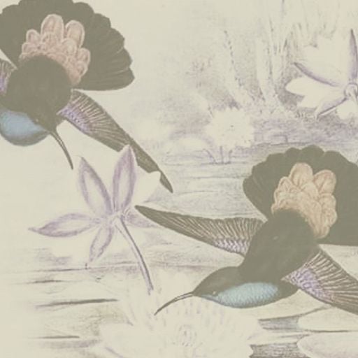 Le Jardin w/ Eduardo F. Rosario (Estuario) - 22nd September 2025