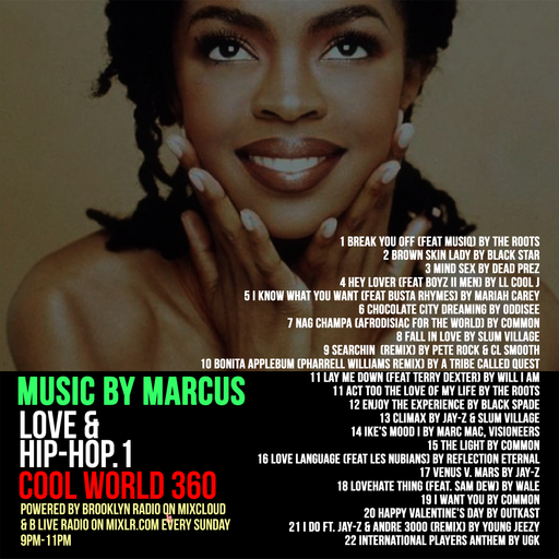 Love & Hip Hop 1