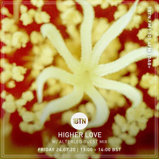 Higher Love 019 - Alterleo Guest Mix - 24.07.2020