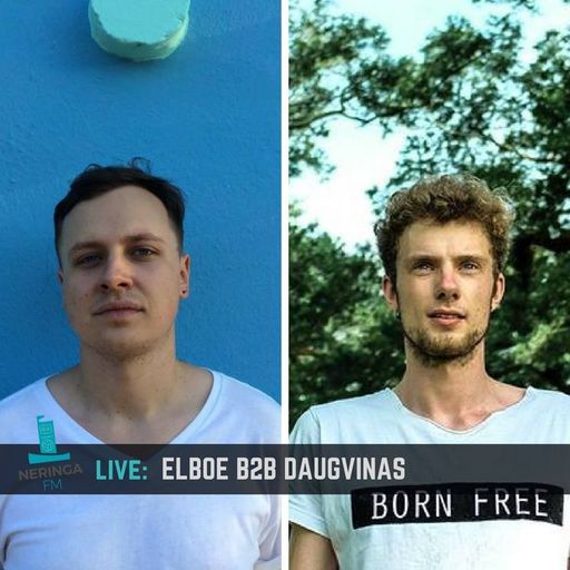 NFM Live: ELBOE B2B DAUGVINAS