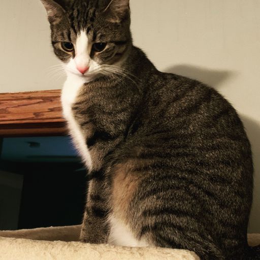 Bones Mix !! Brother Love's Deep Grooves from the Grove