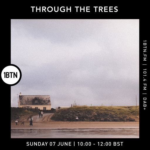 Through The Tree's w/ Ty - 07.06.26