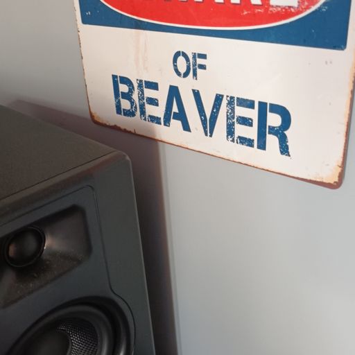 16th June MRBEAVER ELECTRO HOUSE MIX