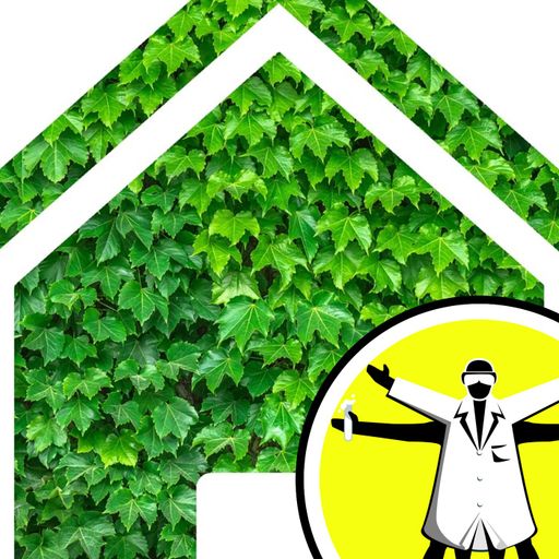 Green Spring Clean: Greener Homes