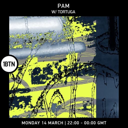 PAM with Tortuga - 14.02.2022