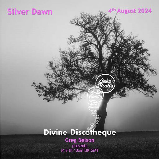 Greg Belson's Divine Discotheque - Silver Dawn (04/08/2024)
