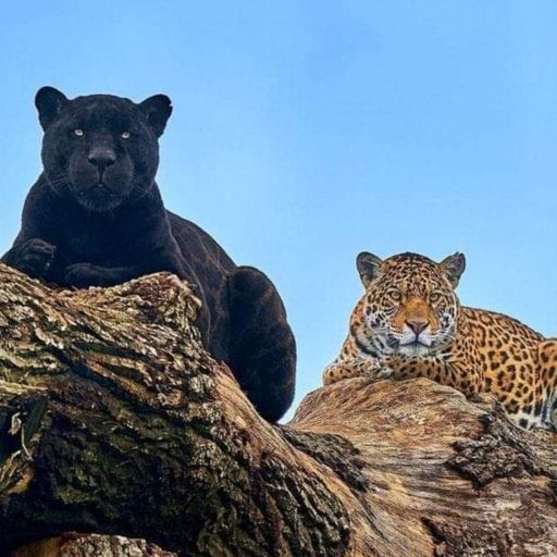 live set 24th aug 24 run through number 1 recorded 19th August 2024