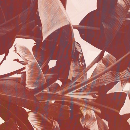 XSS131 | Cubo | The Heart Is A Lonely Hunter