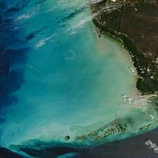 Expressions (ExtendedJazzFusionTrip)