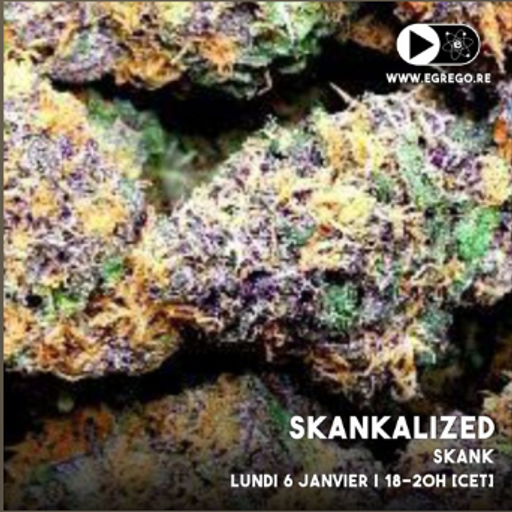 Skankalized 03