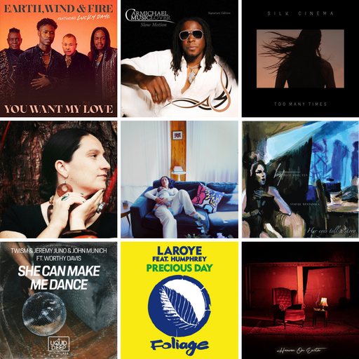 JM Global Soul Connoisseurs Hot Ones GSC #091