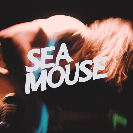 Active Live: Sea Mouse 18-04-2019