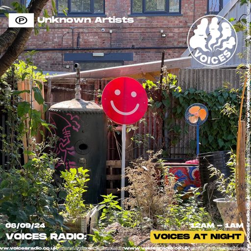 UNKNOWN ARTISTS - 07/09/24 - Voices Radio