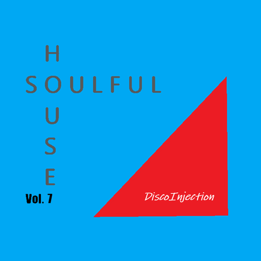 Soulful House Mix Vol. 7 / 2022 by DiscoinJection