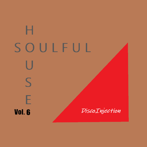 Soulful and Funky House Mix Vol. 6 / 2022 by DiscoinJection
