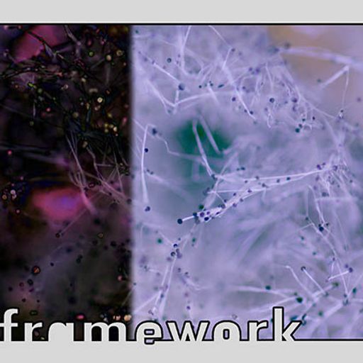 framework #962 - 22 February 2026 [seth nehil]