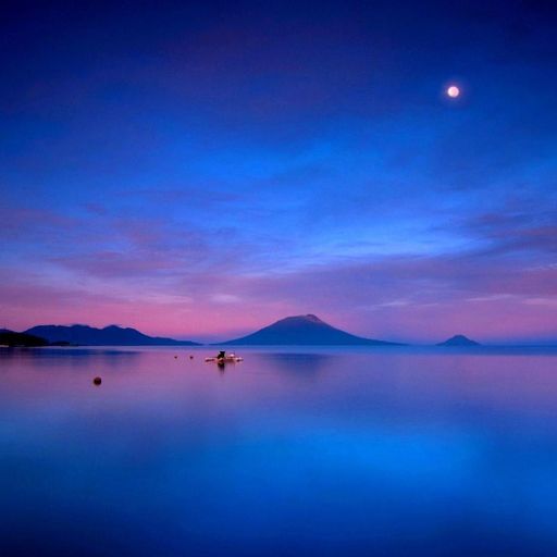 Shimmering Land: A Meg Bowles Tribute