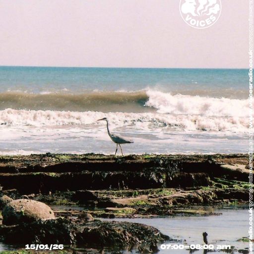 Distant Image w/ Dom Kirtley 15/01/26 - Voices Radio