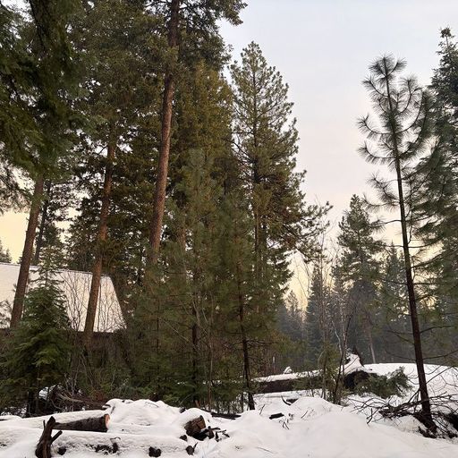 Braden Wells - 16th January 2026